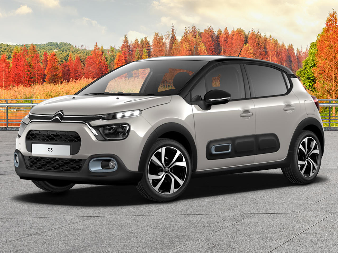 Citroën C3 Origin Max PureTech 110