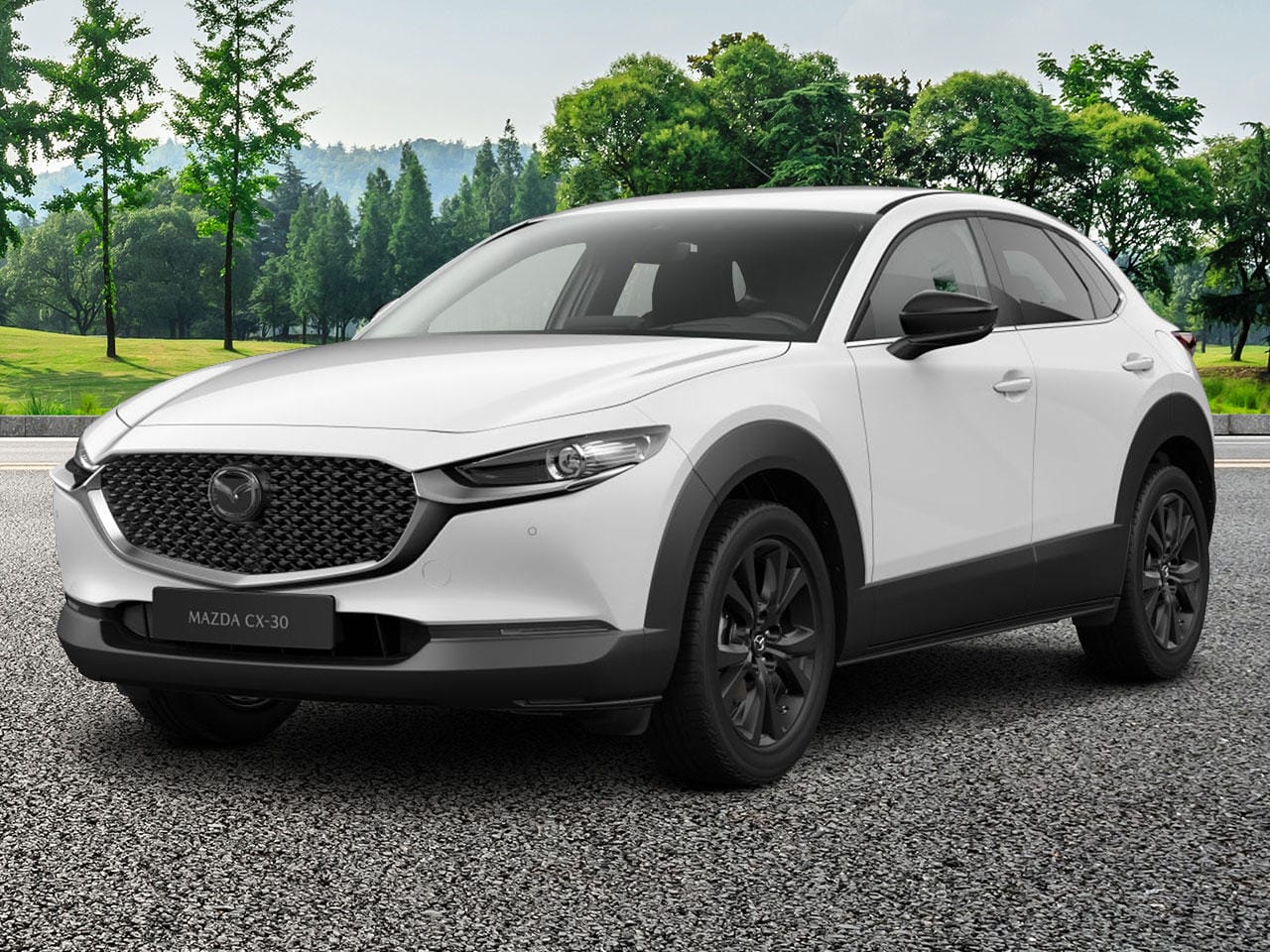 Mazda CX-30 HOMURA E-Skyactiv X 186